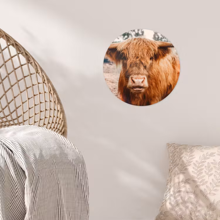 Behangcirkel - Koe- Schotse hooglander - Hoorns - Bruin - Landschap — 5