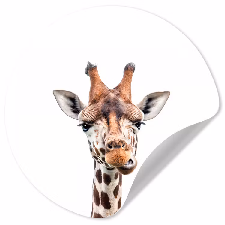 Behangcirkel - Wilde dieren - Giraffe - Kinderen - Jongen - Dieren — 1