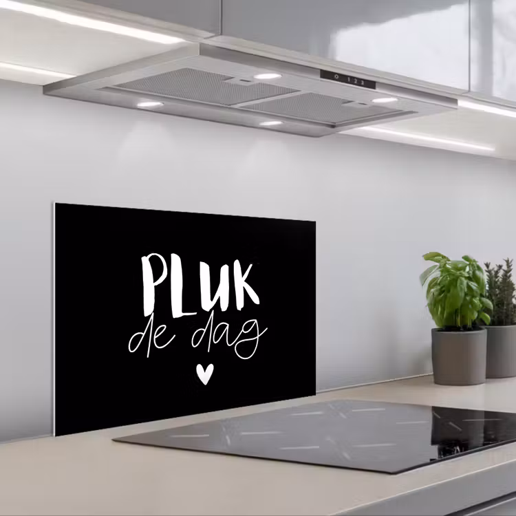 Spatscherm keuken - Quotes - Pluk de dag - Spreuken - Carpe diem - Geluk — 5