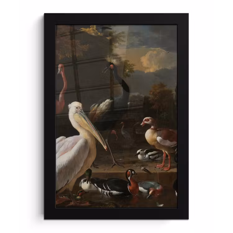Poster met lijst - Een pelikaan en ander gevogelte bij een waterbassin - Schilderij van Melchior d'Hondecoeter — 1