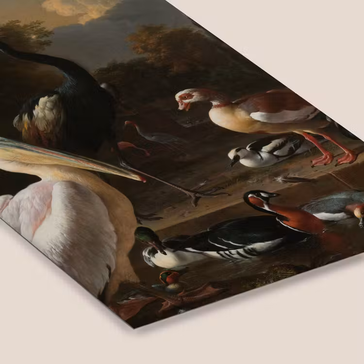 Poster met lijst - Een pelikaan en ander gevogelte bij een waterbassin - Schilderij van Melchior d'Hondecoeter — 7