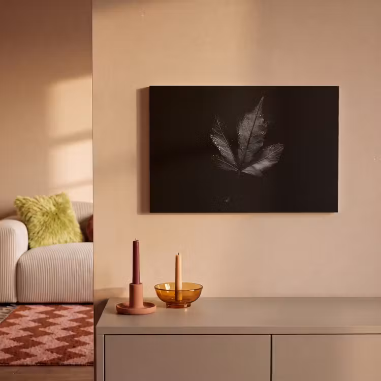 Canvas schilderij - Zwart - Blad — 2