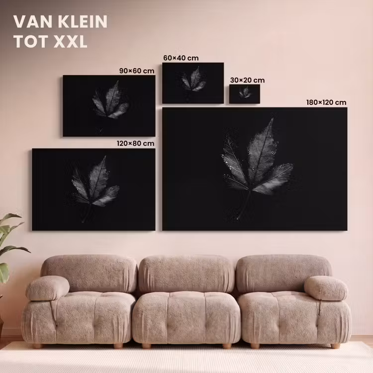 Canvas schilderij - Zwart - Blad — 8