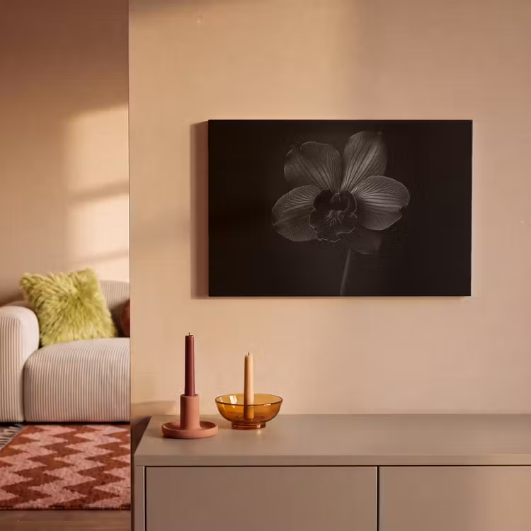 Canvas schilderij - Zwart - Bloem - Orchidee — 2