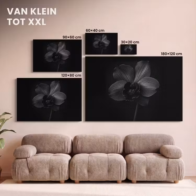 Canvas schilderij - Zwart - Bloem - Orchidee — 8