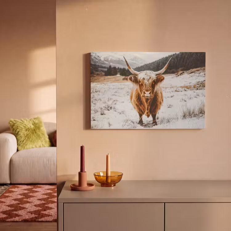 Canvas schilderij - Schotse Hooglander - Sneeuw - Winter - Dieren — 2