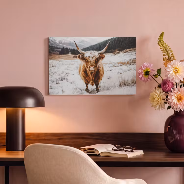 Canvas schilderij - Schotse Hooglander - Sneeuw - Winter - Dieren — 6