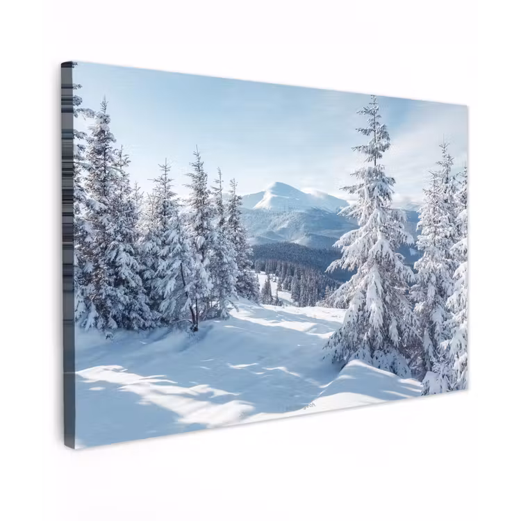 Canvas schilderij - Sneeuw - Winter - Landschap - Bergen — 1