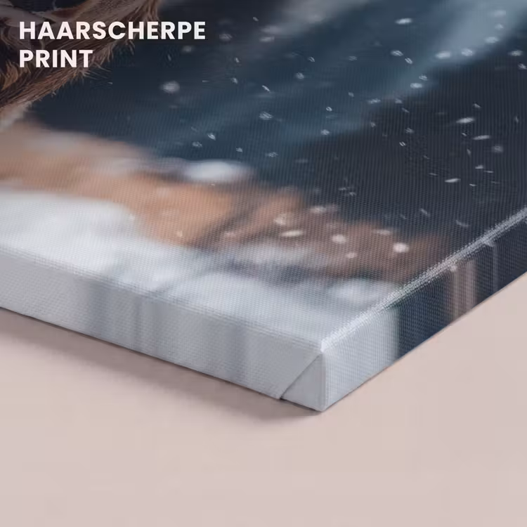Canvas schilderij - Hert - Winter - Hertenkop - Sneeuw - Gewei — 5