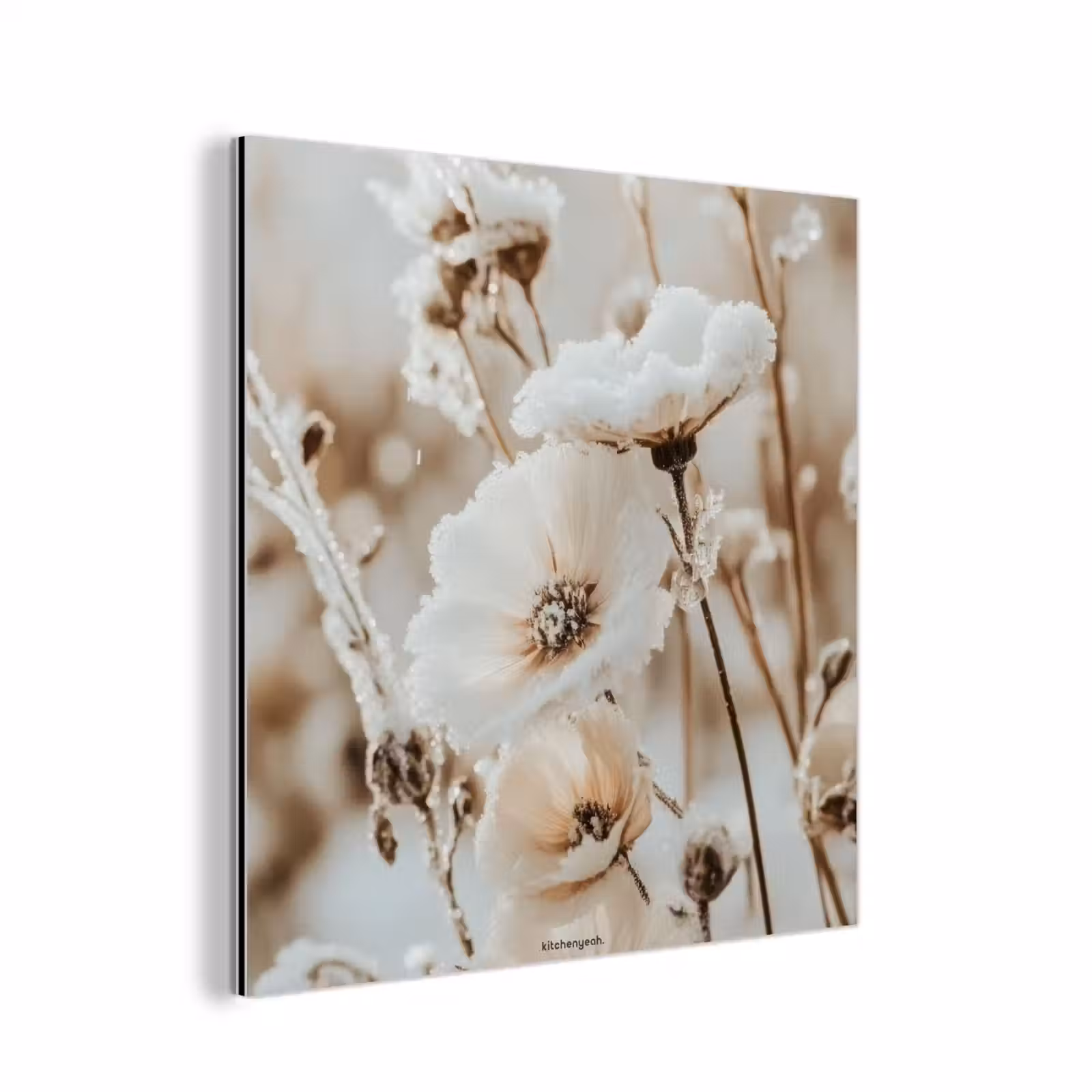 Aluminium schilderij - Bloemen - Beige - Winter — 1