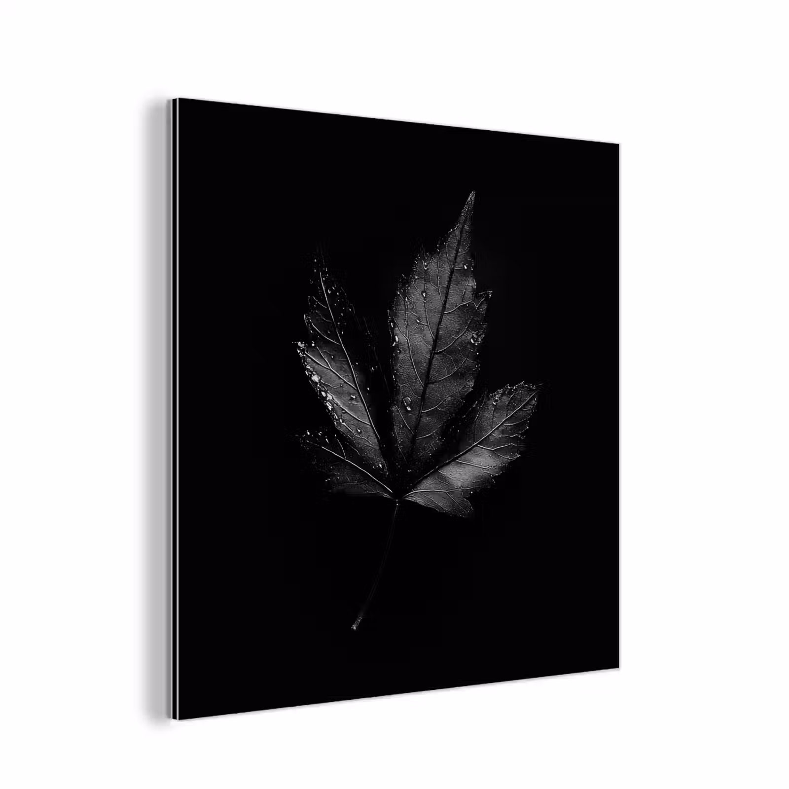 Aluminium schilderij - Zwart - Blad — 1