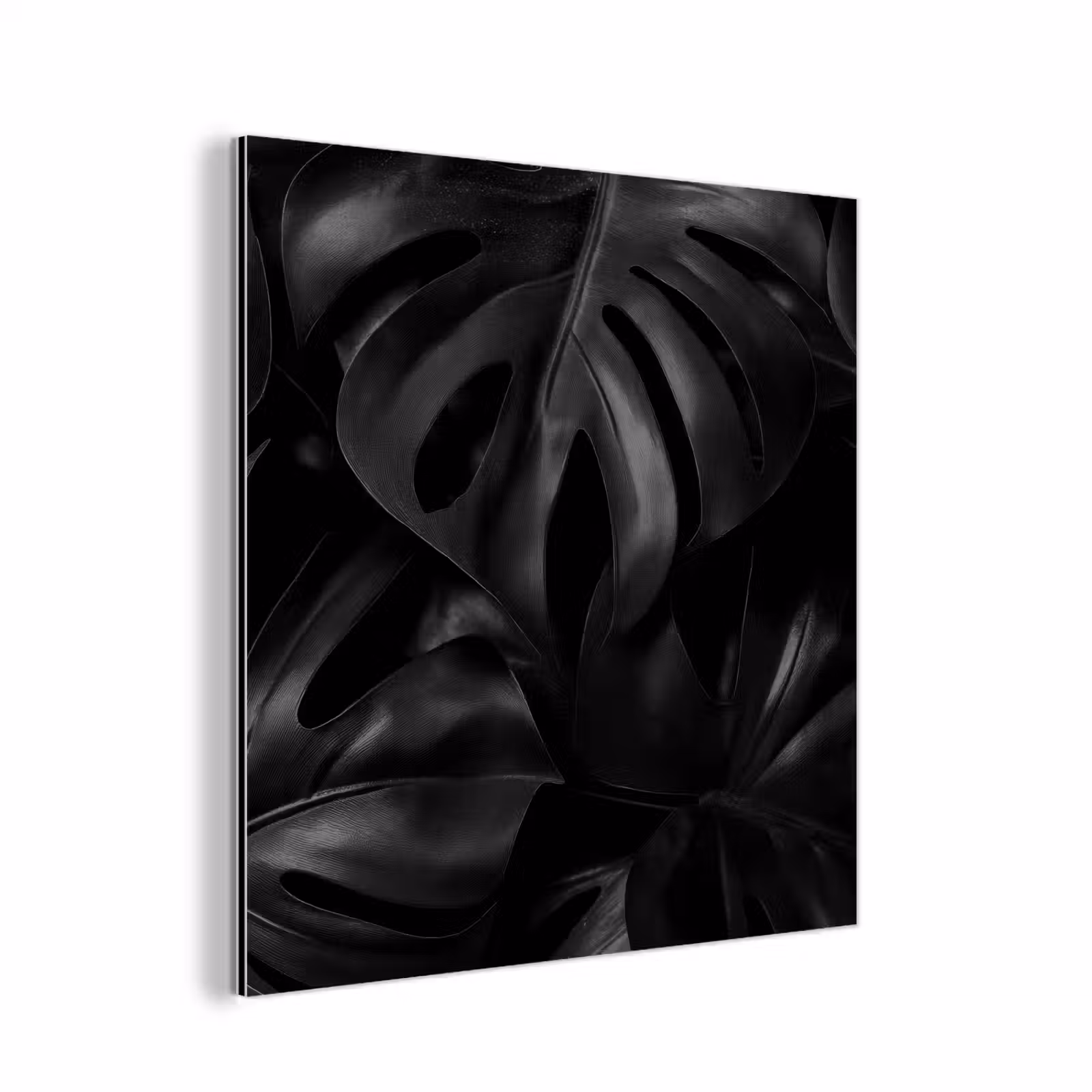 Aluminium schilderij - Zwart - Monstera - Bladeren — 1