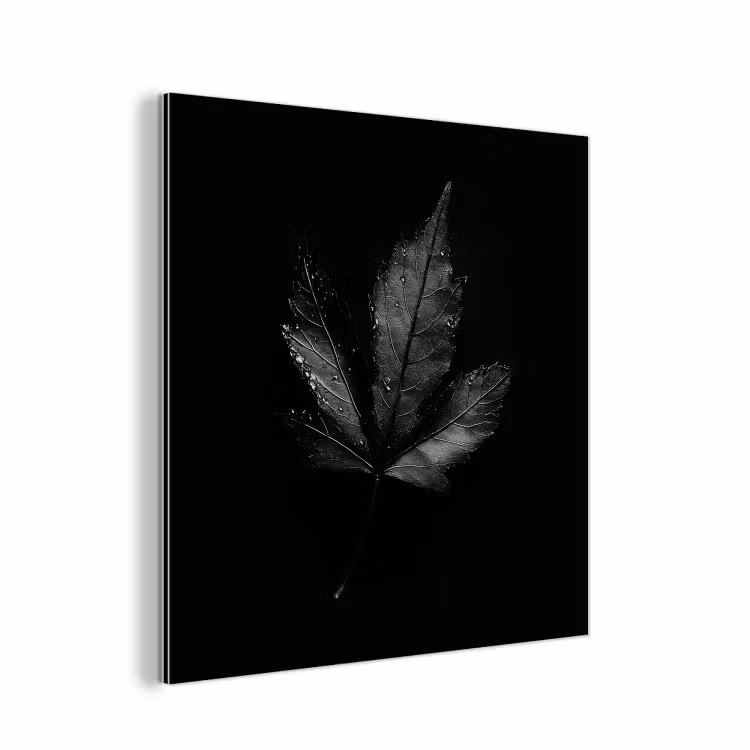 Aluminium schilderij - Zwart - Blad — 1