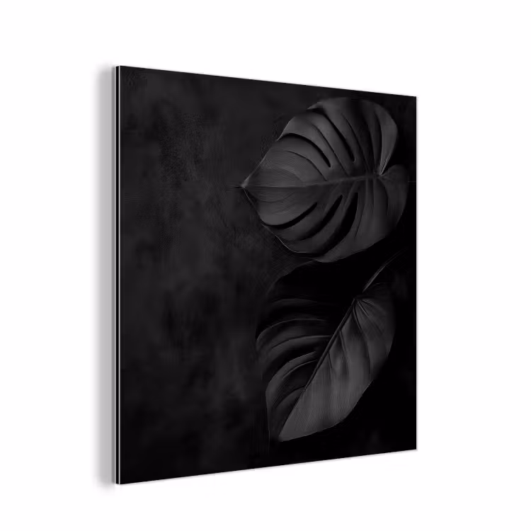 Aluminium schilderij - Zwart - Blad - Monstera — 1