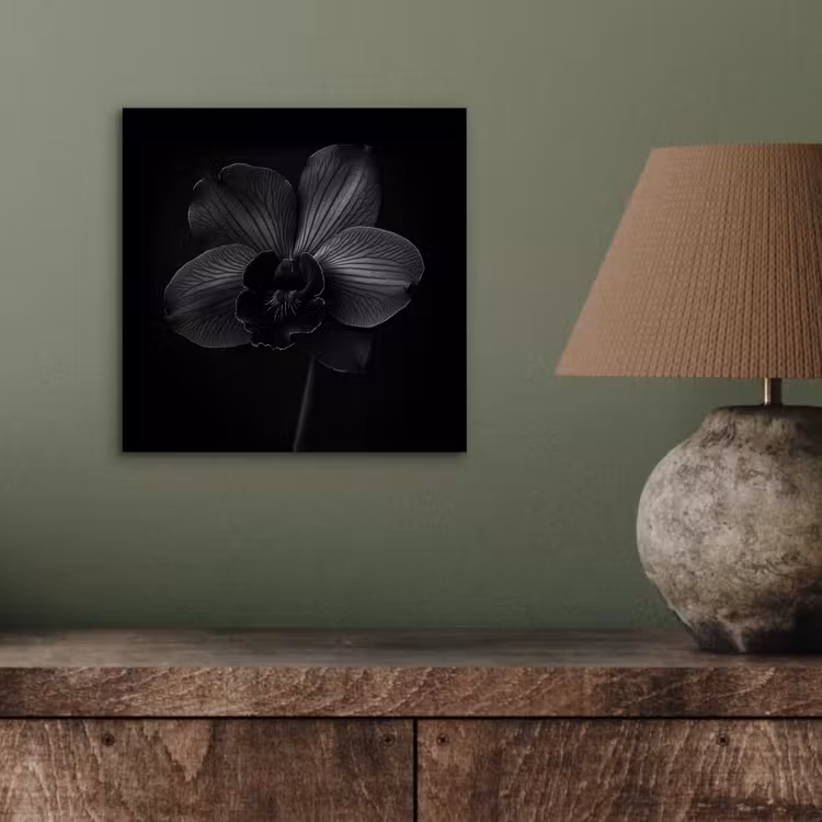 Aluminium schilderij - Zwart - Bloem - Orchidee — 3