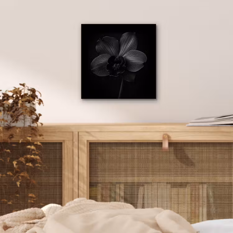 Aluminium schilderij - Zwart - Bloem - Orchidee — 4