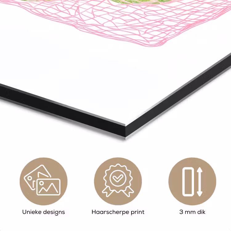 Aluminium schilderij - Netzakje - Roze - Illustratie - Limoenen — 7