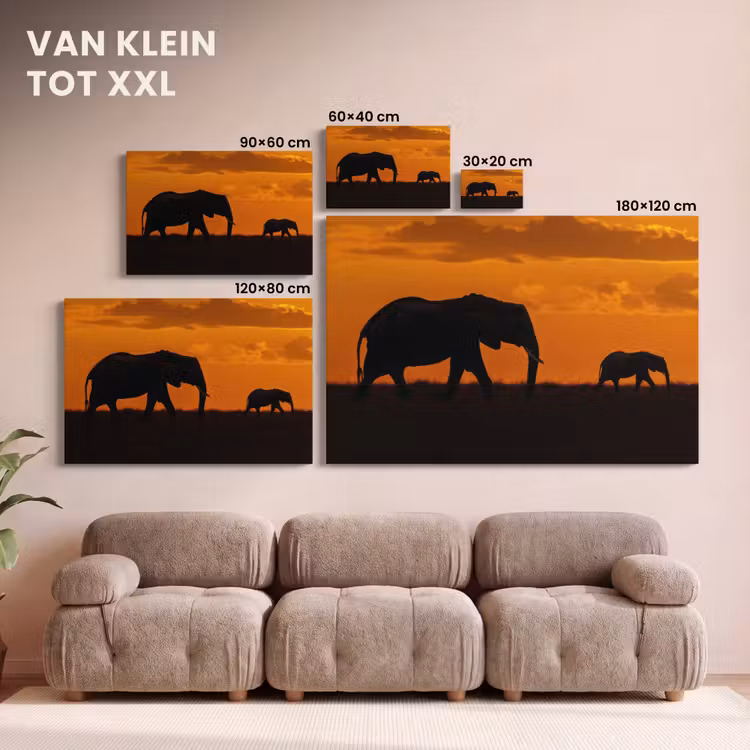Canvas schilderij - Olifanten - Savanne - Zonsondergang — 8