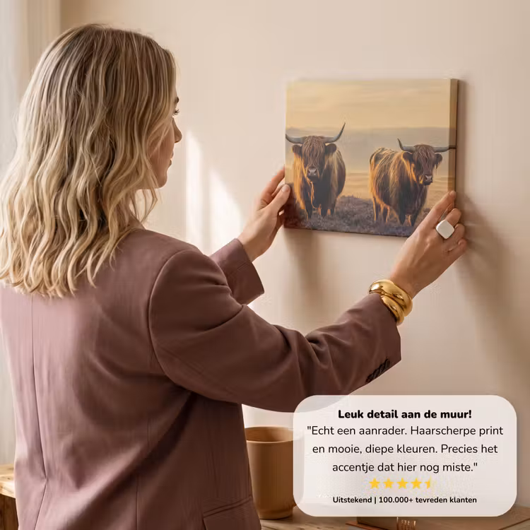 Canvas schilderij - Schotse hooglanders - Heide - Landschap - Dieren — 3