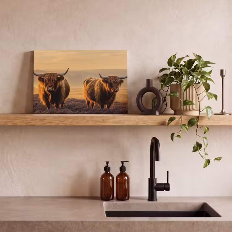 Canvas schilderij - Schotse hooglanders - Heide - Landschap - Dieren — 4