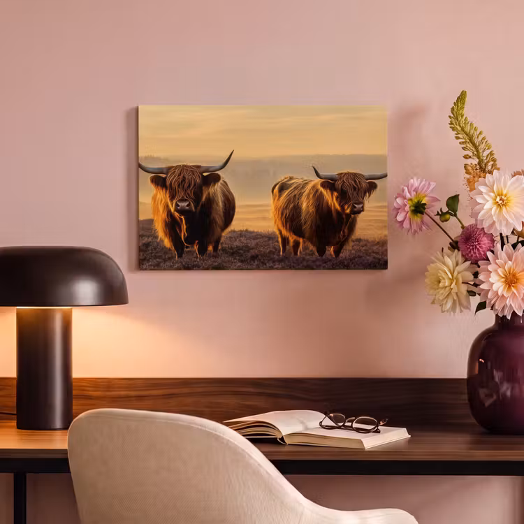 Canvas schilderij - Schotse hooglanders - Heide - Landschap - Dieren — 6