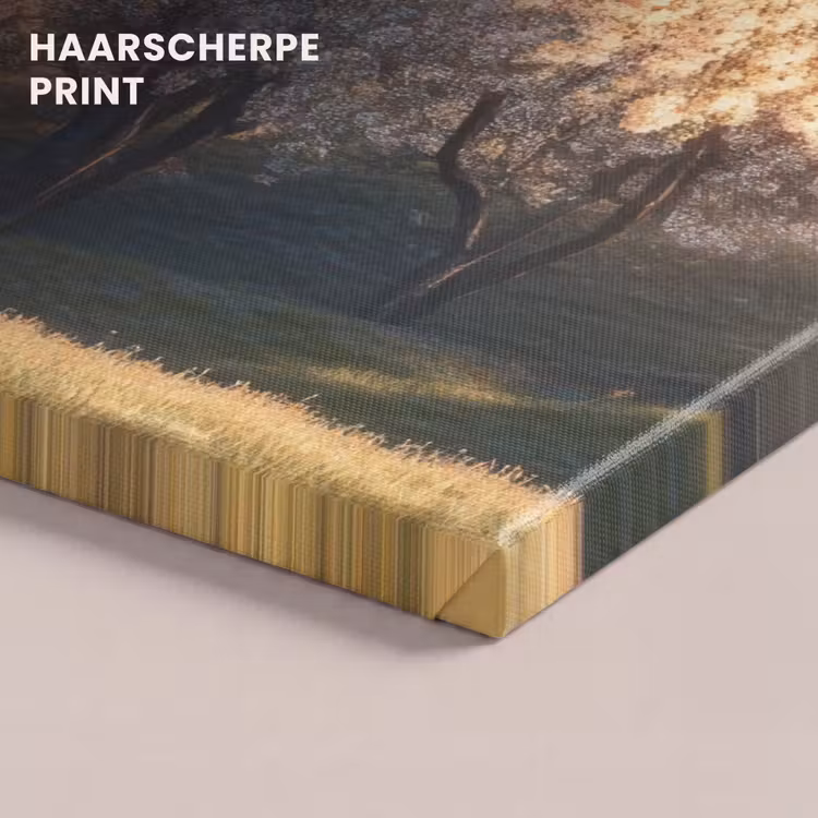Canvas schilderij - Bomen - Bloesem - Lente — 5
