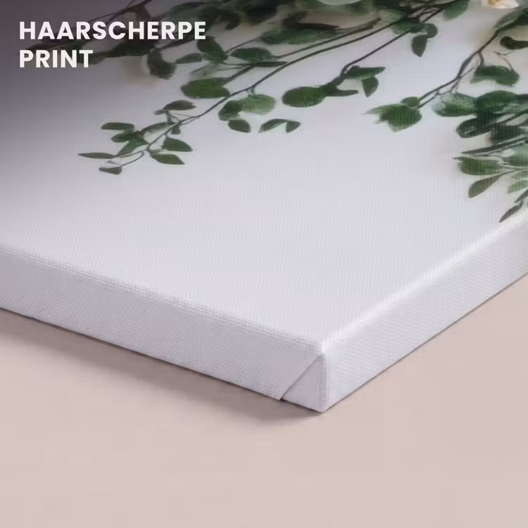 Canvas schilderij - Bloemen - Muur - Rozen - Groen — 5