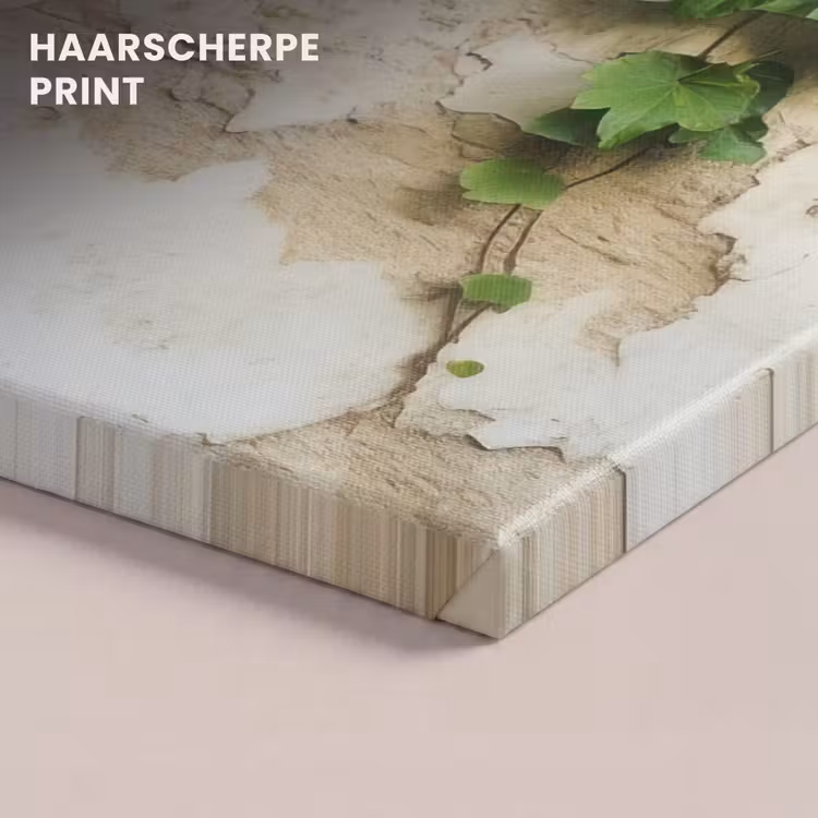 Canvas schilderij - Klimop - Muur - Groen — 5