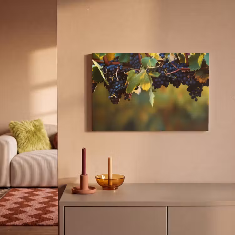 Canvas schilderij - Druiven - Wijn - Natuur - Groen — 2