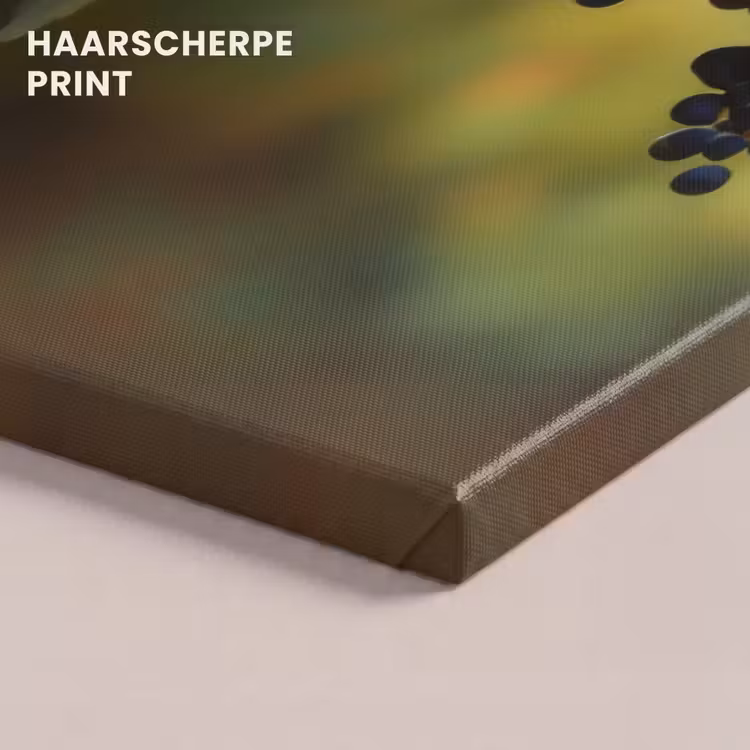 Canvas schilderij - Druiven - Wijn - Natuur - Groen — 5