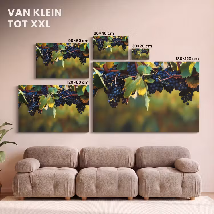 Canvas schilderij - Druiven - Wijn - Natuur - Groen — 8
