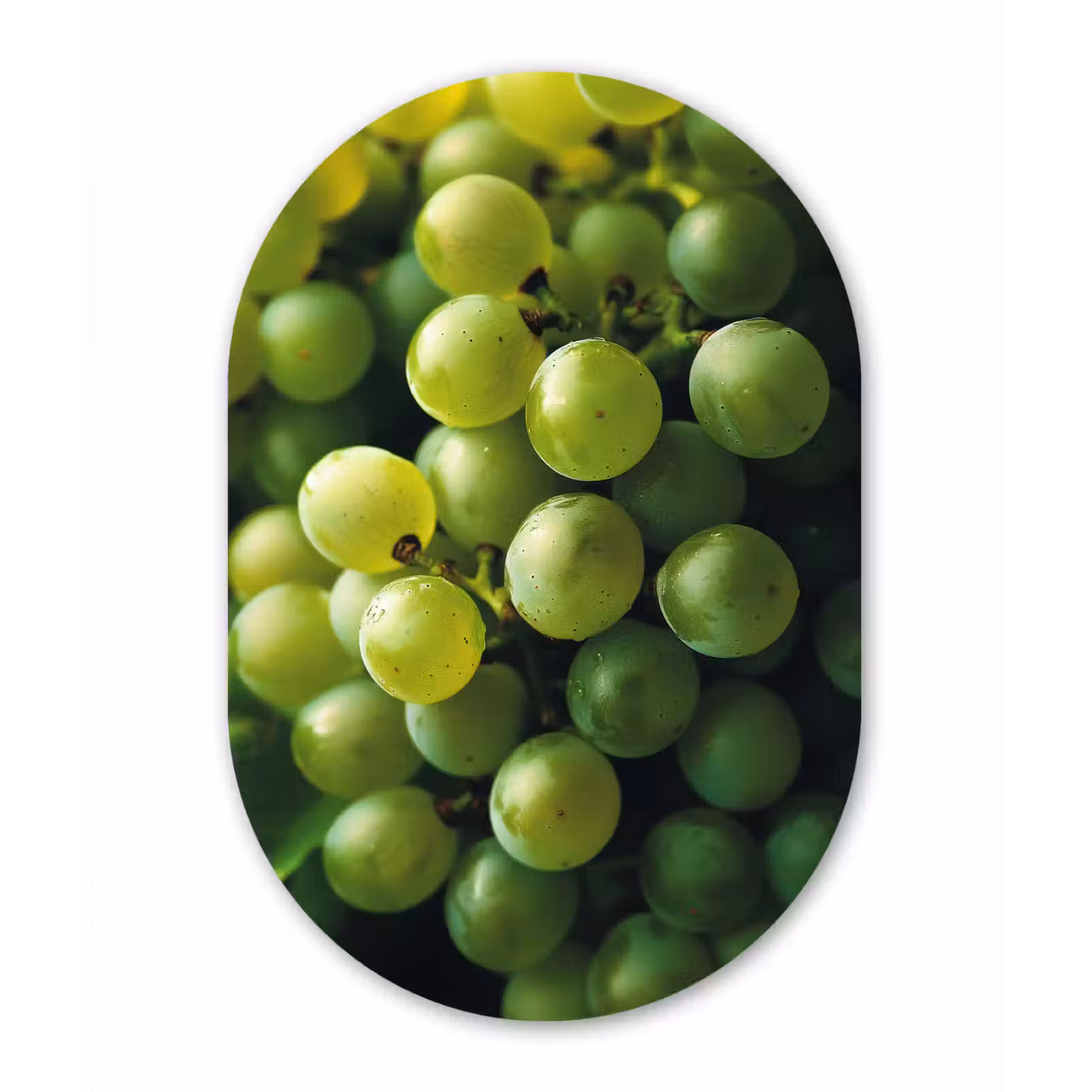Muurovaal Glas – Druiven - Tros - Groen — 1