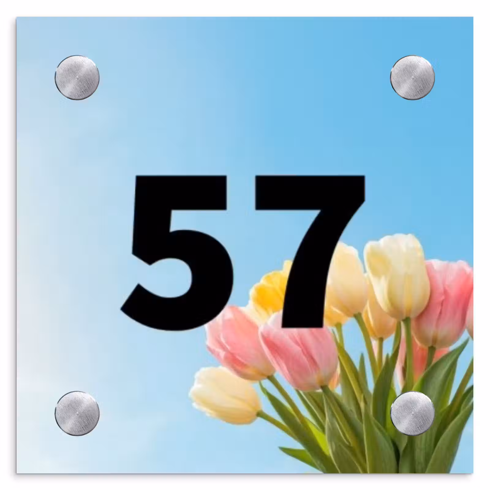 Naambordje voordeur - Vierkant - Gekleurde tulpen lucht - Traditioneel — 1