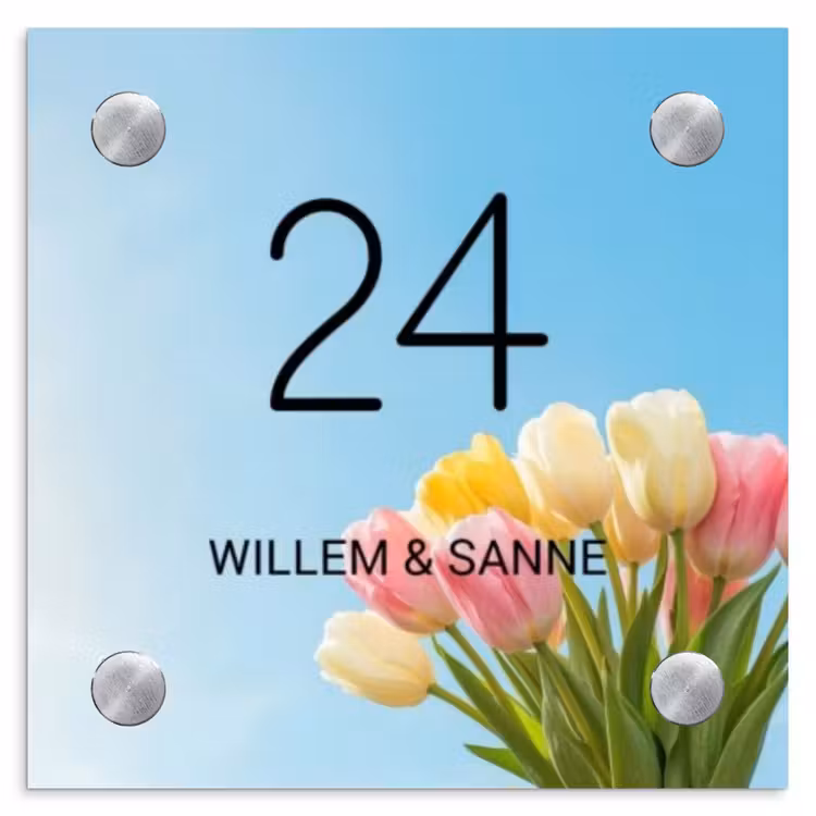 Naambordje voordeur - Vierkant - Gekleurde tulpen lucht - Klassiek — 1