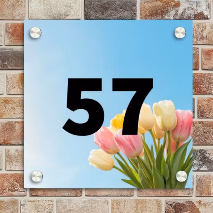 Naambordje voordeur - Vierkant - Gekleurde tulpen lucht - Traditioneel — 4