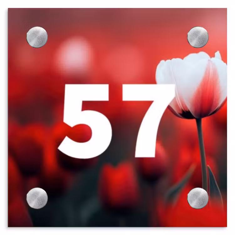 Naambordje voordeur - Vierkant - Rode tulpen - Traditioneel — 1