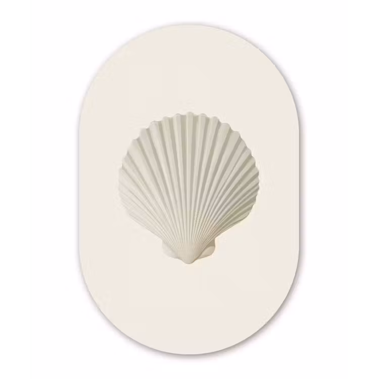 Muurovaal - aluminium - Schelp - Minimalistisch - Wit — 1