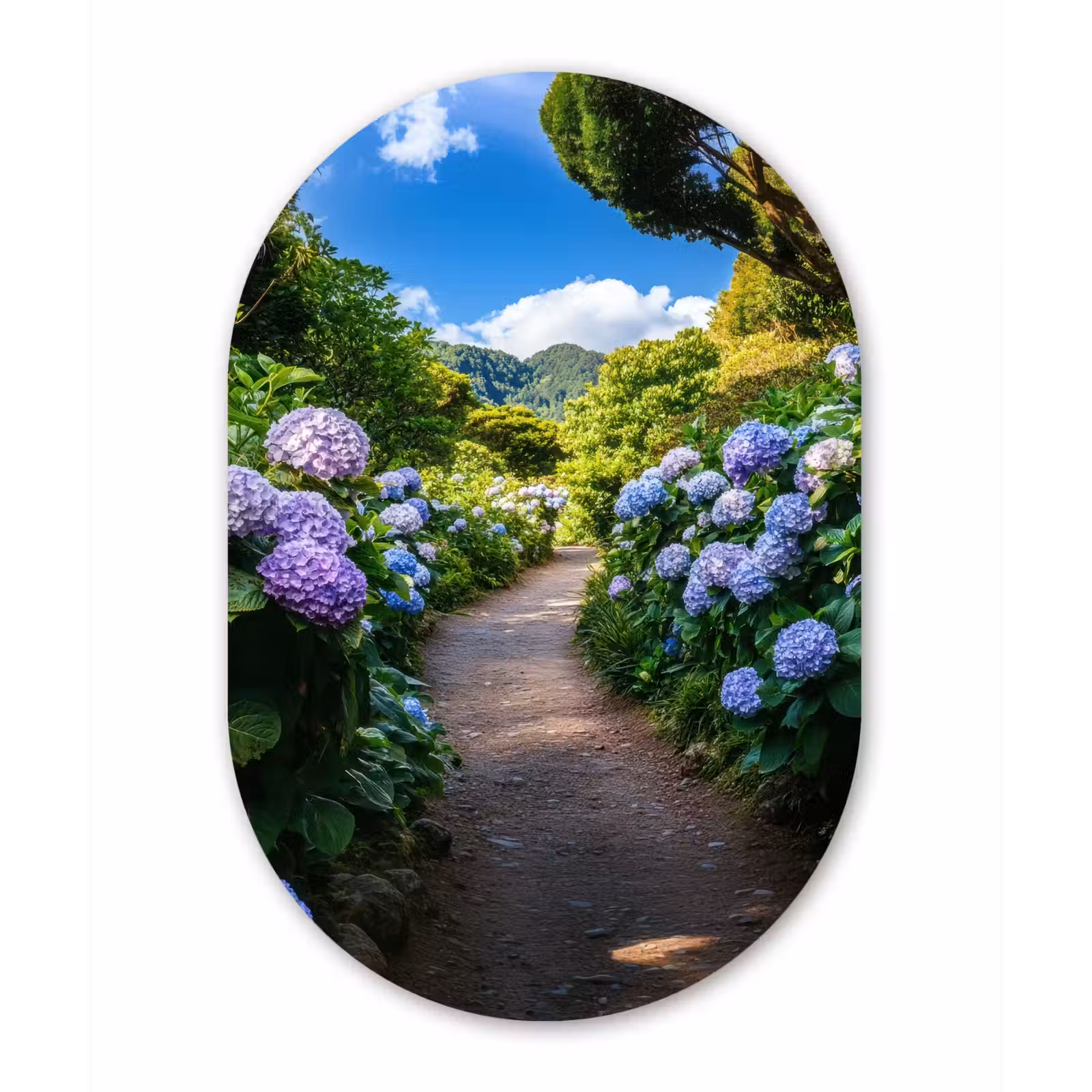 Muurovaal - aluminium - Hortsensia - Pad - Bloemen — 1