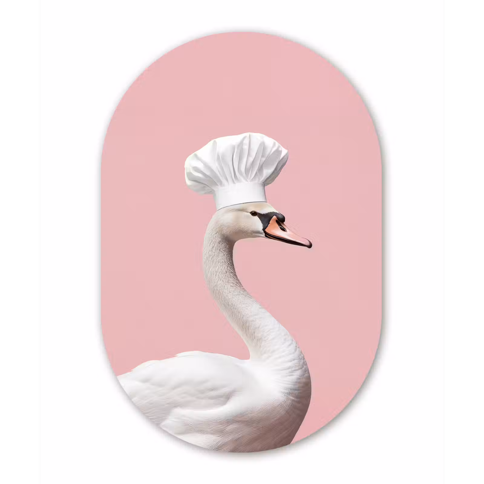 Muurovaal - aluminium - Zwaan - Koksmuts - Mooi - Klassiek — 1