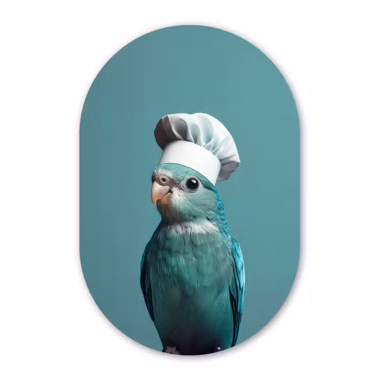 Muurovaal - aluminium - Parkiet - Vogel - Koksmuts - Cute — 1