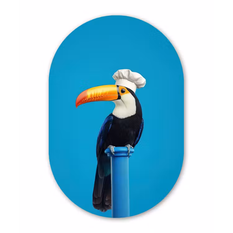 Muurovaal - aluminium - Tucan - Sokkel - Vogel - Koksmuts — 1