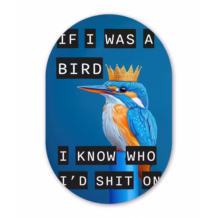 Muurovaal - aluminium - Vogel - Decoratie - Ijsvogel - Blauw — 1