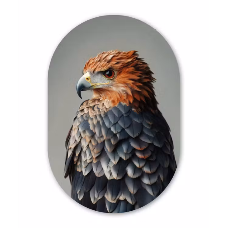 Muurovaal - aluminium - Vogel - Realistisch - Veren - Bruin — 1