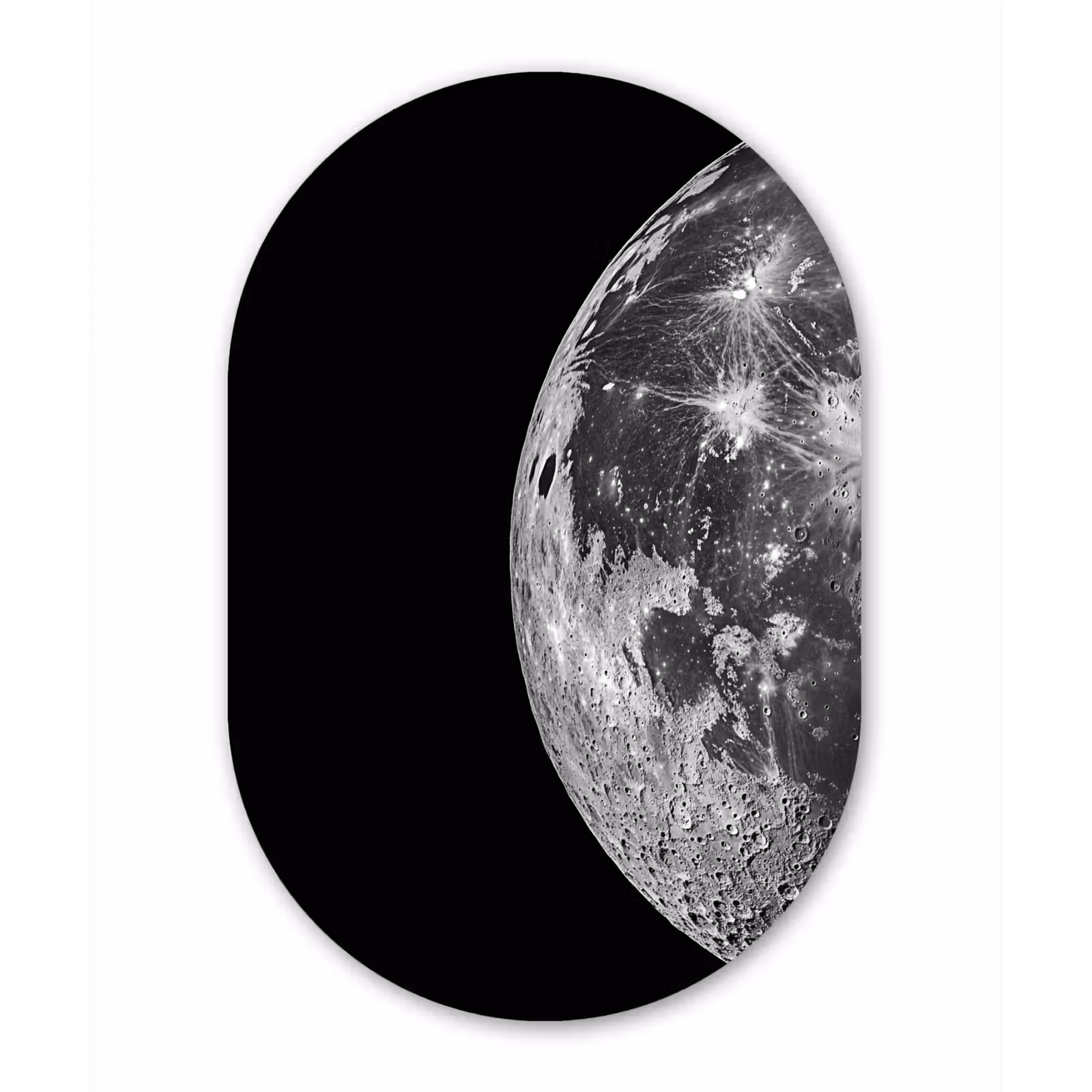 Ovale mural - aluminium - Close-up - Maan - Wit - Textuur — 1