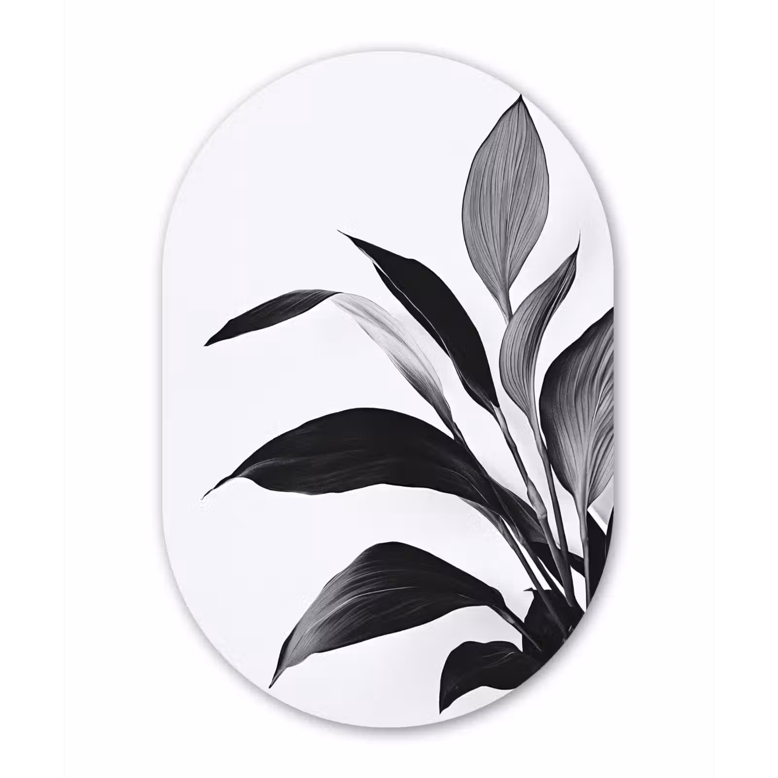 Ovale mural - aluminium - Plant - Bladeren - Minimalistisch - Zwart — 1