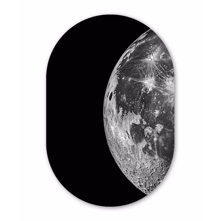 Ovale mural - aluminium - Close-up - Maan - Wit - Textuur — 1