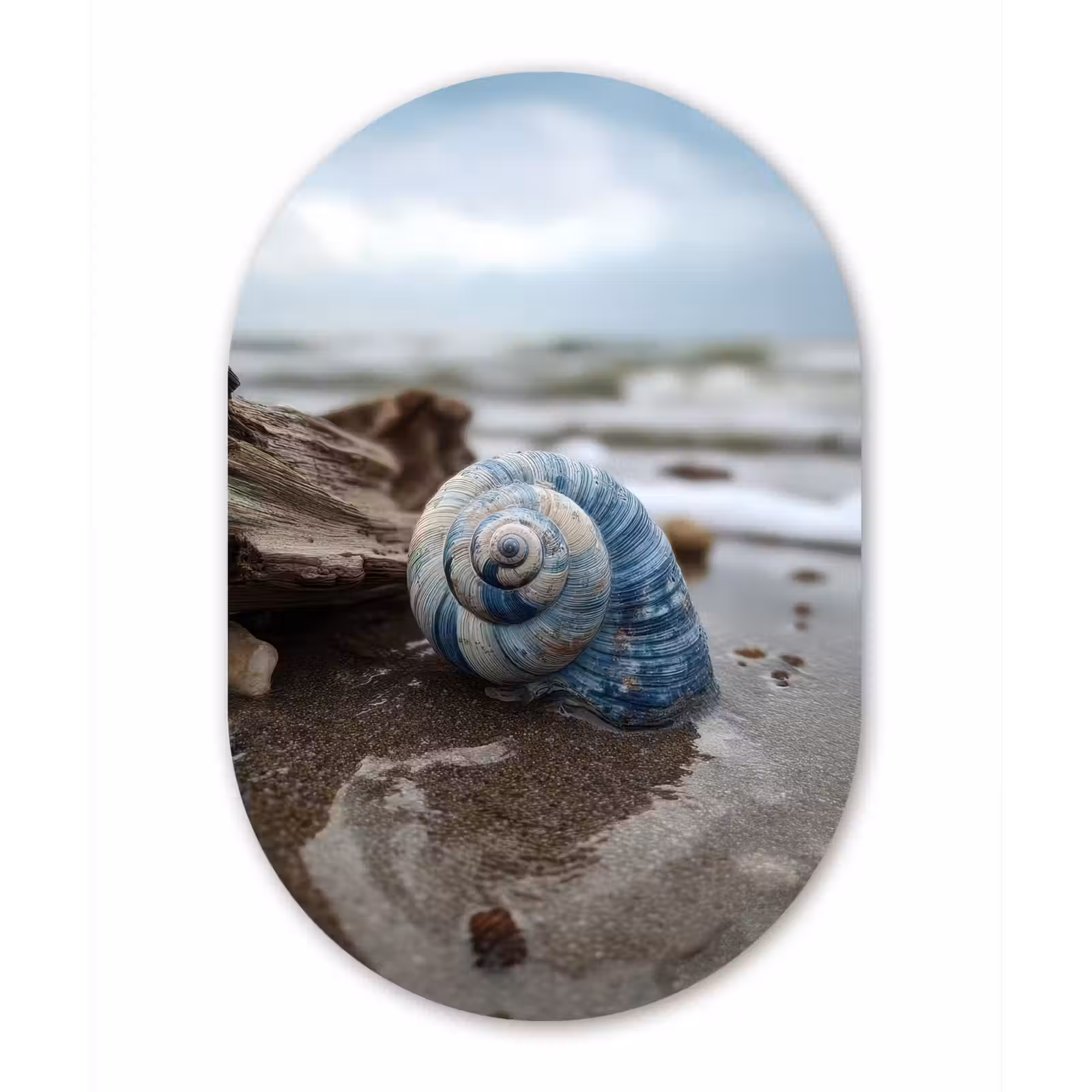 Wandoval Glas – Schelp - Strand - Blauw - Zee — 1