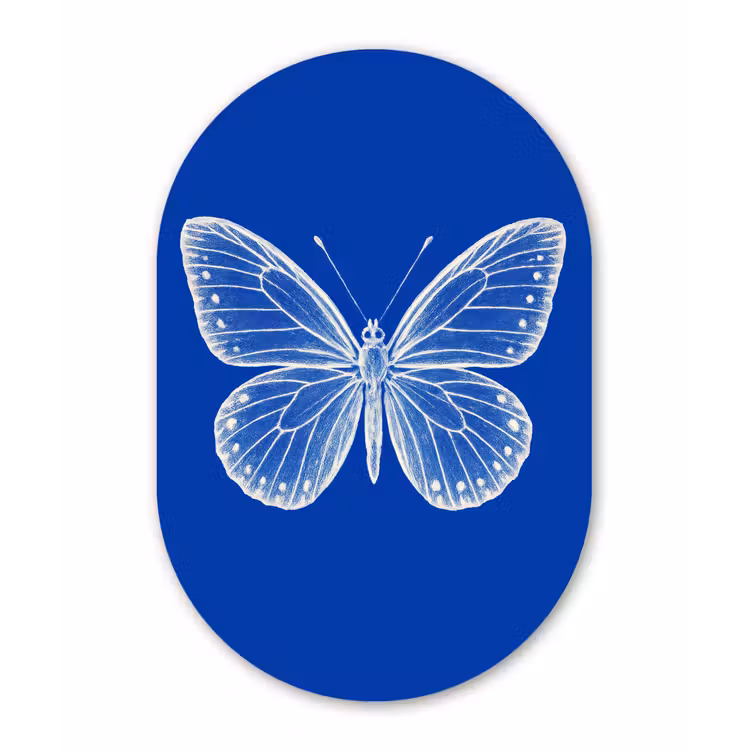 Muurovaal - aluminium - Vlinder - Wit - Getekend - Stippen — 1