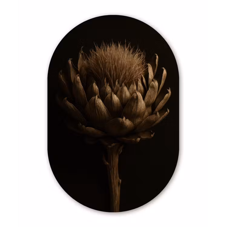 Wandoval Glas – Donkerbruin - Bloem - Textuur - Artisjok — 1