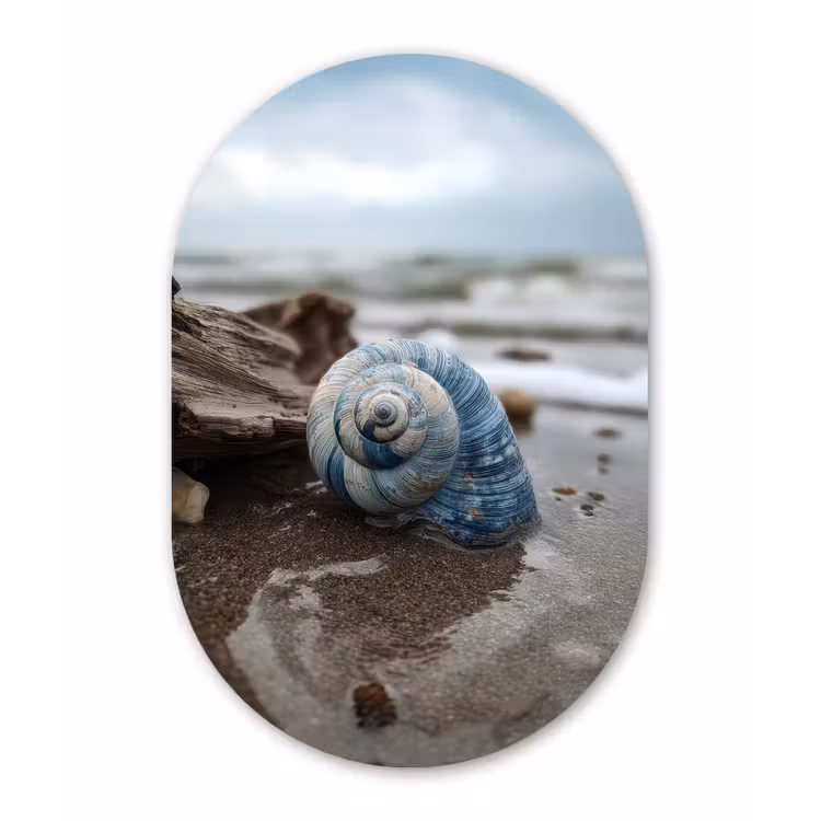Wandoval Glas – Schelp - Strand - Blauw - Zee — 1